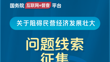 被c秘好爽n网站国务院“互联网+督查”平台公开征集阻碍民营经济发展壮大问题线索